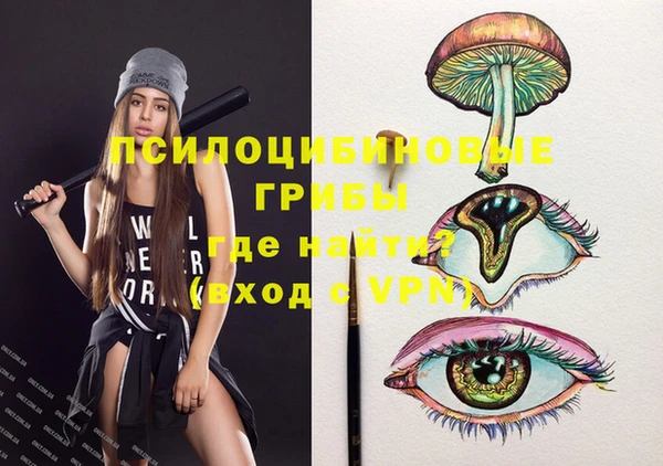 молекула духа Медногорск