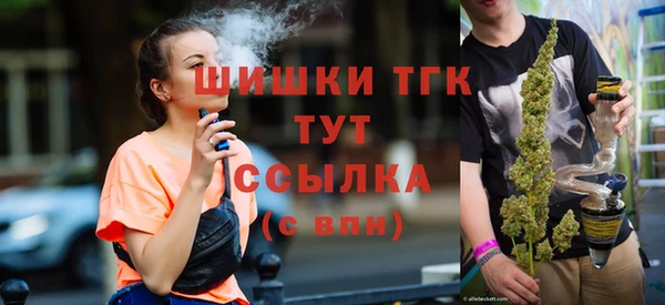 молекула духа Медногорск